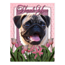 Thank You - Pink Tulips - Pug Post Card