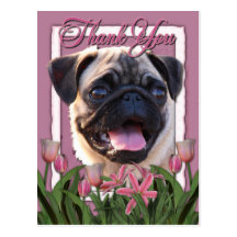 Thank You - Pink Tulips - Pug Postcards