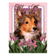 Thank You - Pink Tulips - Sheltie Puppy - Cooper Postcard