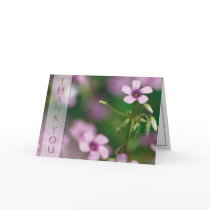 Thank You - Pink Wood Sorrel Greeting Card