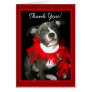Thank You Pitbull Puppy Greeting Card