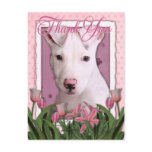 Thank You - Pitbull Puppy - Petey postcards