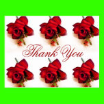Thank You_ postcards