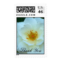 Thank You _Postage postage