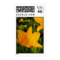 Thank You_Postage postage by zazzlegirboy09 Thank You_Postage postage