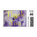 Thank You postage