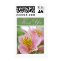 Thank You Postage Stamp - Tiger Lily by SquirrelHugger Thank You Postage Stamp - Tiger Lily