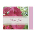 Thank You Postcard