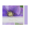 Thank You Postcard