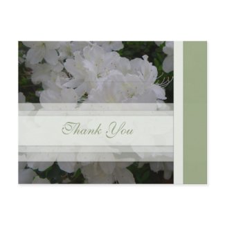 Thank You Postcard postcard
