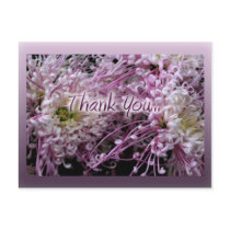 THANK YOU POSTCARD