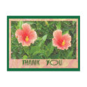 thank you postcards by DonnaGrayson_Photos thank you postcards