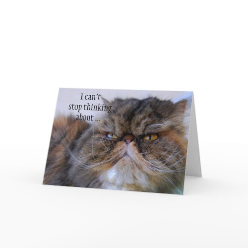 Thank You Proud Persian Kitty Card card