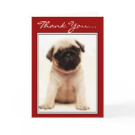 Thank You Pug puppy greeting card