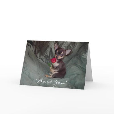thank_you_puppy_card-p137166453400041428b21fb_400.jpg