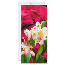 Thank You rack cards