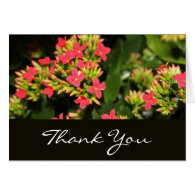 thank you, red flowers card