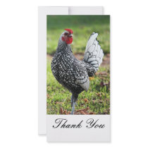 Thank You, Rooster Photo Card