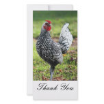 Thank You, Rooster Photo Card