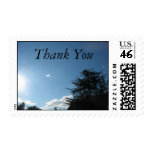 Thank You Sky and Tree Stamps