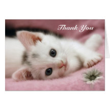 Thank You   Snow White Greeting Card