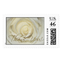 Thank you Soft Cream Rose Stamp