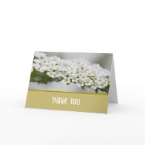 Thank You Spiraea Card