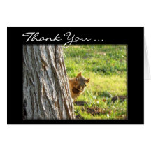 Thank You Squirrel greeting card