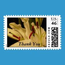 , Thank You stamps