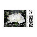 THANK YOU STAMP by SandraTAlexander THANK YOU STAMP