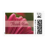 Thank You stamps