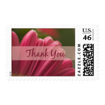 Thank You stamps by photoinspiration Thank You stamps