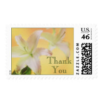 Thank You stamps by photoinspiration Thank You stamps