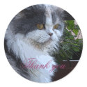 Thank you sticker