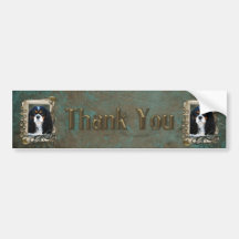 Thank You - Stone Paws - Cavalier Bumper Sticker