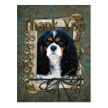 Thank You - Stone Paws - Cavalier Postcard