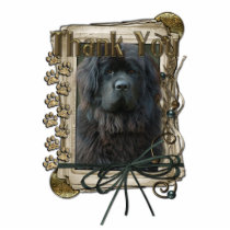 Thank You - Stone Paws - Newfoundland Photo Cut Out