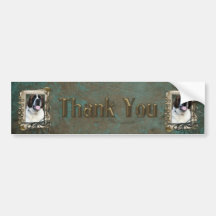 Thank You - Stone Paws - St Bernard - Mae Bumper Sticker