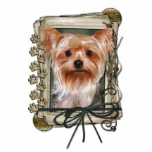 Thank You - Stone Paws - Yorkshire Terrier Photo Cut Outs