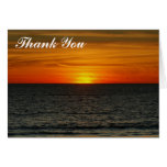 Thank You - Sunset Card