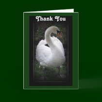Thank you - swan card