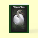 Thank you - swan card