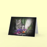 Thank you - Tabby cat card