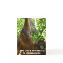 Thank You, Teacher:  Encouragement Card