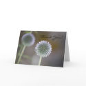 THANK YOU Thistle Card by pulsDesign THANK YOU Thistle Card