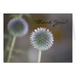 THANK YOU Thistle Card