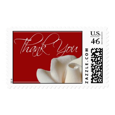 Thank you White Rose Postage Stamps
