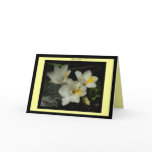 Thank You with Freesias Cards