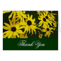 Thank you, yellow daisy flowers cards