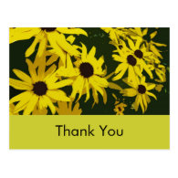 Thank you, yellow daisy flowers post card
